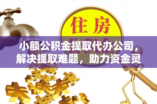 普陀小额公积金提取代办公司，解决提取难题，助力资金灵活使用