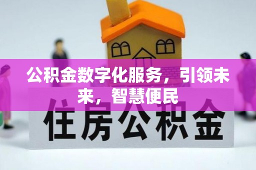 普陀公积金数字化服务，引领未来，智慧便民