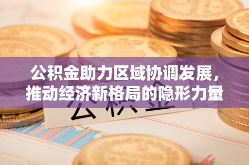 普陀公积金助力区域协调发展，推动经济新格局的隐形力量