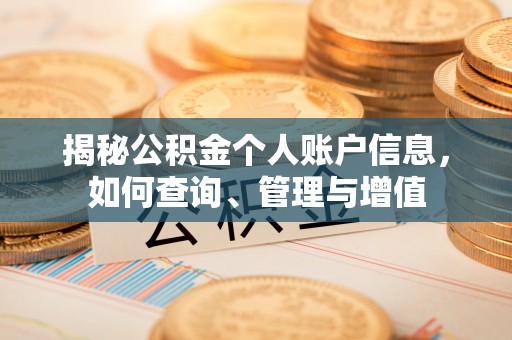 普陀揭秘公积金个人账户信息，如何查询、管理与增值