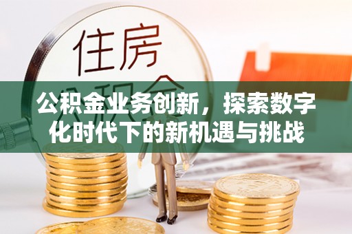 普陀公积金业务创新，探索数字化时代下的新机遇与挑战
