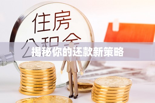 普陀揭秘你的还款新策略