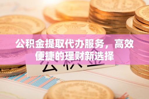 普陀公积金提取代办服务，高效便捷的理财新选择