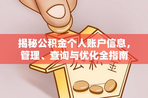 普陀揭秘公积金个人账户信息，管理、查询与优化全指南