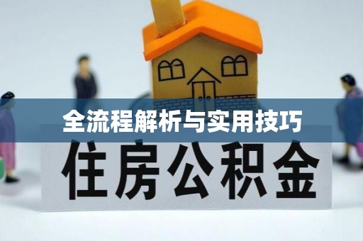 普陀全流程解析与实用技巧