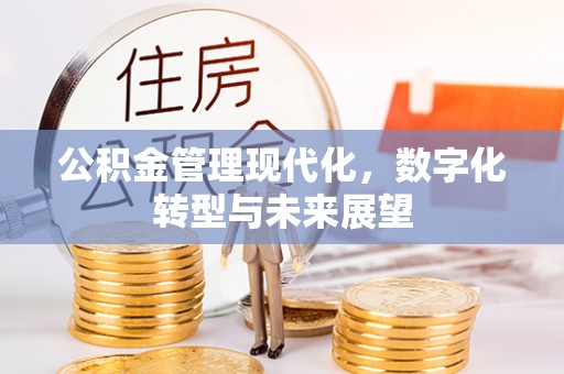 普陀公积金管理现代化，数字化转型与未来展望