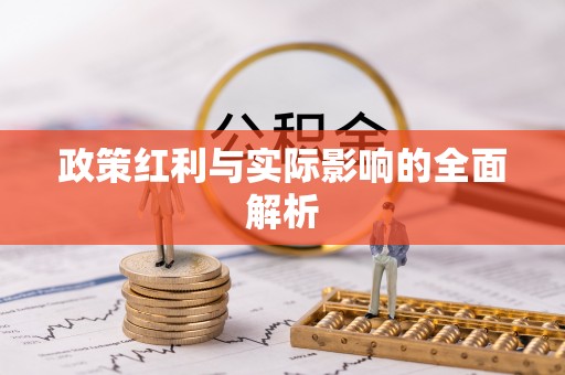 普陀政策红利与实际影响的全面解析