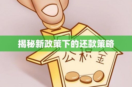 普陀揭秘新政策下的还款策略