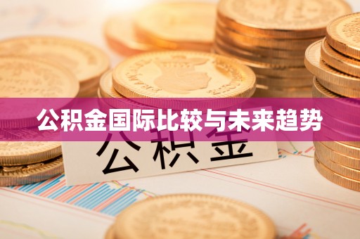 普陀公积金国际比较与未来趋势