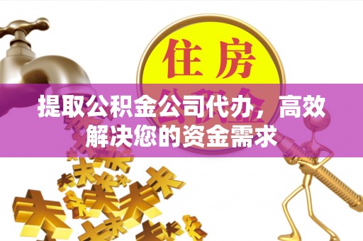 普陀提取公积金公司代办，高效解决您的资金需求