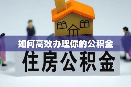普陀如何高效办理你的公积金
