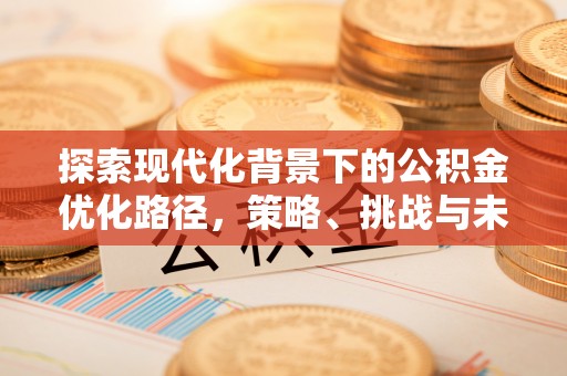 普陀探索现代化背景下的公积金优化路径，策略、挑战与未来展望