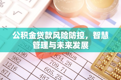 普陀公积金贷款风险防控，智慧管理与未来发展