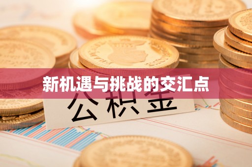 普陀新机遇与挑战的交汇点