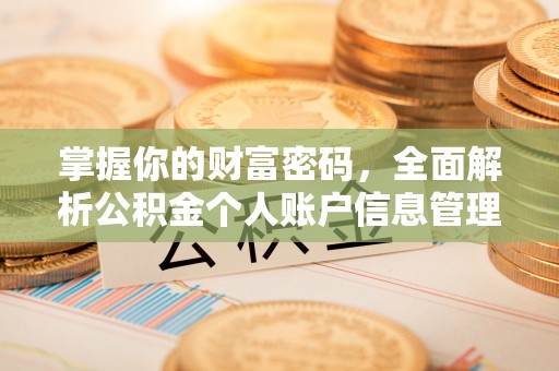 普陀掌握你的财富密码，全面解析公积金个人账户信息管理与优化