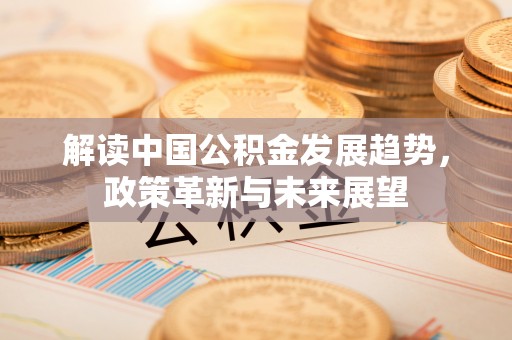 普陀解读中国公积金发展趋势，政策革新与未来展望