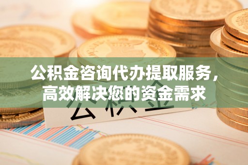 普陀公积金咨询代办提取服务，高效解决您的资金需求