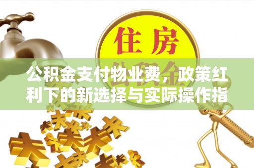 普陀公积金支付物业费，政策红利下的新选择与实际操作指南