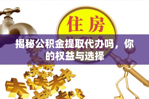 普陀揭秘公积金提取代办吗，你的权益与选择