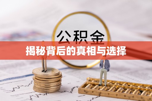 普陀揭秘背后的真相与选择