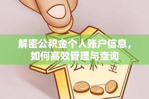 普陀解密公积金个人账户信息，如何高效管理与查询