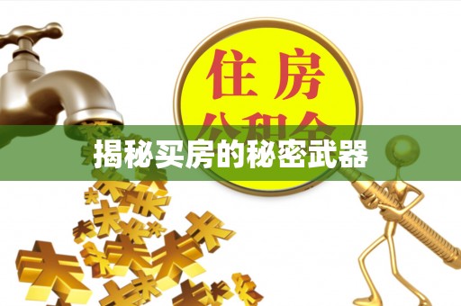 普陀揭秘买房的秘密武器