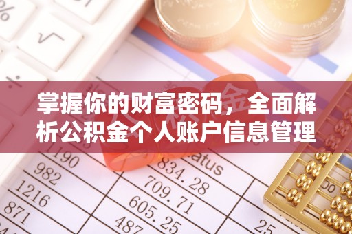 普陀掌握你的财富密码，全面解析公积金个人账户信息管理