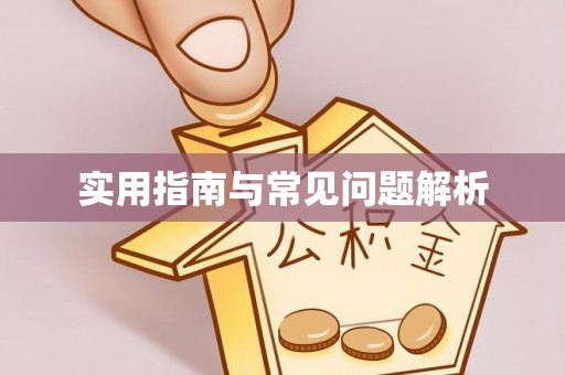 普陀实用指南与常见问题解析