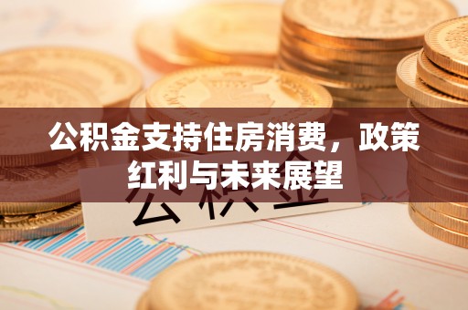 普陀公积金支持住房消费，政策红利与未来展望