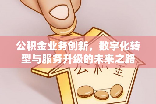 普陀公积金业务创新，数字化转型与服务升级的未来之路