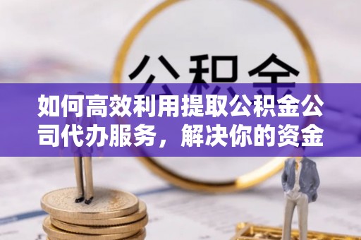 普陀如何高效利用提取公积金公司代办服务，解决你的资金难题