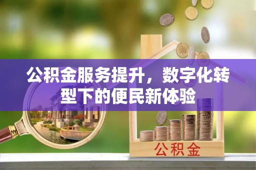 普陀公积金服务提升，数字化转型下的便民新体验