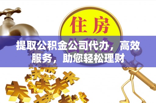 普陀提取公积金公司代办，高效服务，助您轻松理财