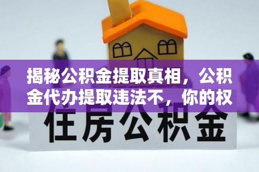 普陀揭秘公积金提取真相，公积金代办提取违法不，你的权益如何保障？