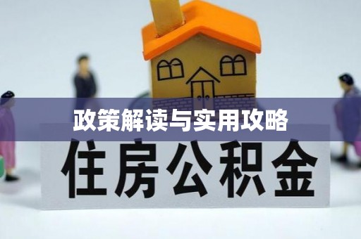 普陀政策解读与实用攻略
