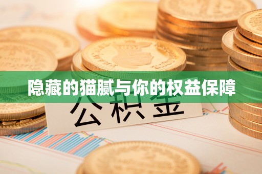 普陀隐藏的猫腻与你的权益保障