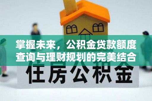 普陀掌握未来，公积金贷款额度查询与理财规划的完美结合