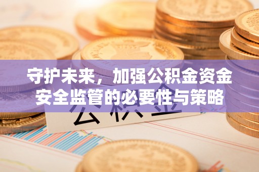 普陀守护未来，加强公积金资金安全监管的必要性与策略