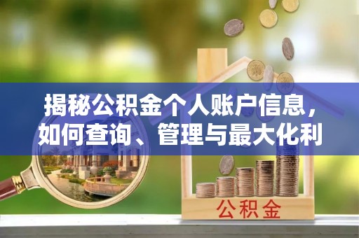 普陀揭秘公积金个人账户信息，如何查询、管理与最大化利用