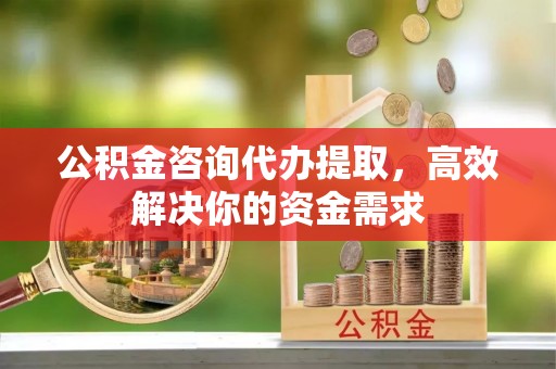 普陀公积金咨询代办提取，高效解决你的资金需求