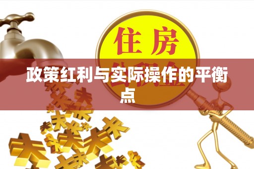 普陀政策红利与实际操作的平衡点