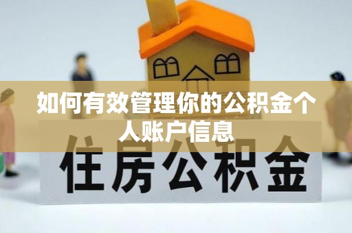 普陀如何有效管理你的公积金个人账户信息