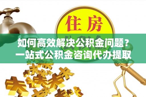 普陀如何高效解决公积金问题？一站式公积金咨询代办提取服务全解析