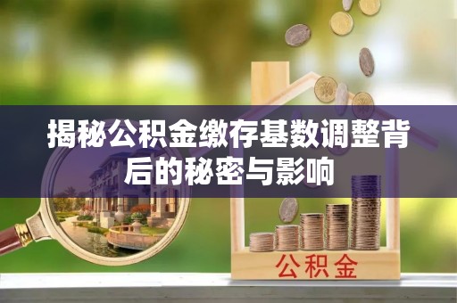 普陀揭秘公积金缴存基数调整背后的秘密与影响