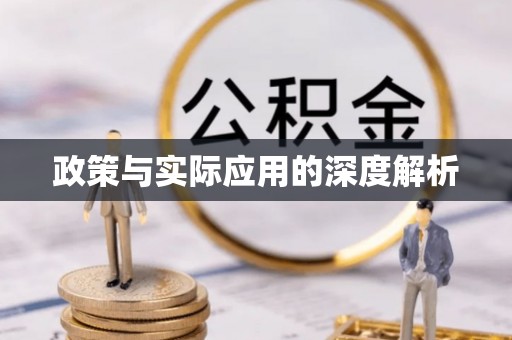 普陀政策与实际应用的深度解析