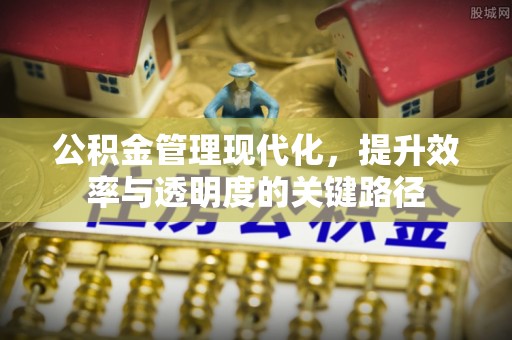 普陀公积金管理现代化，提升效率与透明度的关键路径