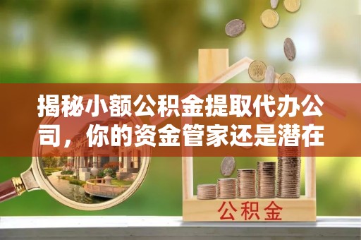 普陀揭秘小额公积金提取代办公司，你的资金管家还是潜在风险？