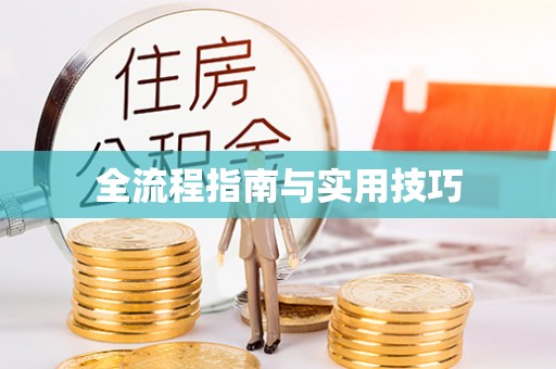 普陀全流程指南与实用技巧