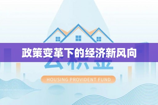 普陀政策变革下的经济新风向