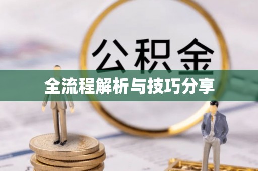 普陀全流程解析与技巧分享
